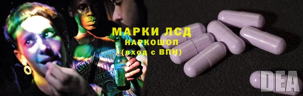spice Гусев