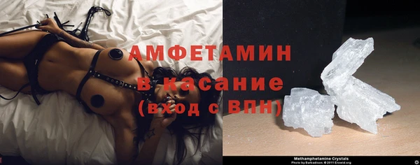 ПСИЛОЦИБИНОВЫЕ ГРИБЫ Белокуриха