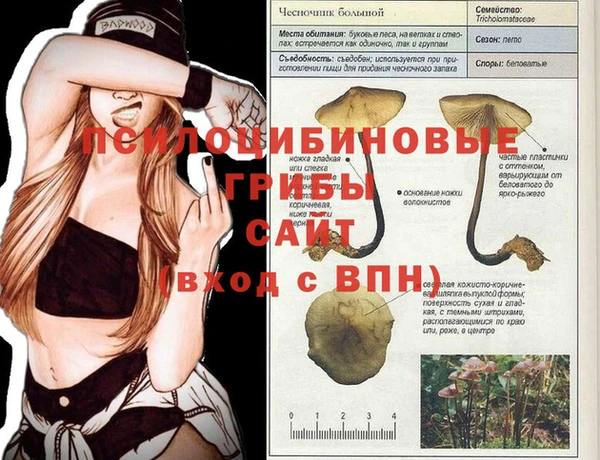 ПСИЛОЦИБИНОВЫЕ ГРИБЫ Белокуриха