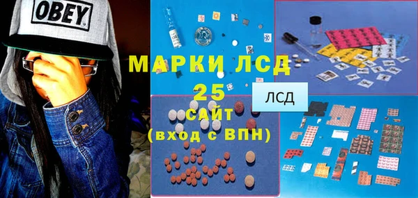 ПСИЛОЦИБИНОВЫЕ ГРИБЫ Белокуриха