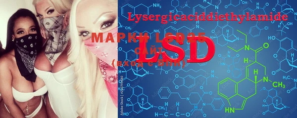 spice Гусев