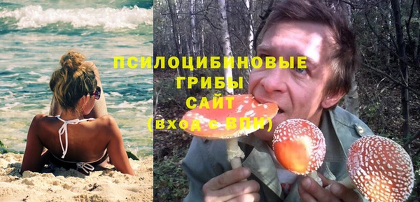 ПСИЛОЦИБИНОВЫЕ ГРИБЫ Белокуриха