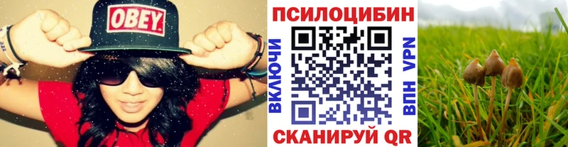 где купить наркоту  Демидов  Псилоцибиновые грибы мицелий 